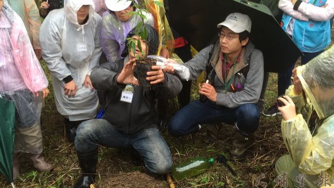 台灣山林復育協會志工們冒著大雨，在仁愛鄉霧社高峰復育原始森林。
