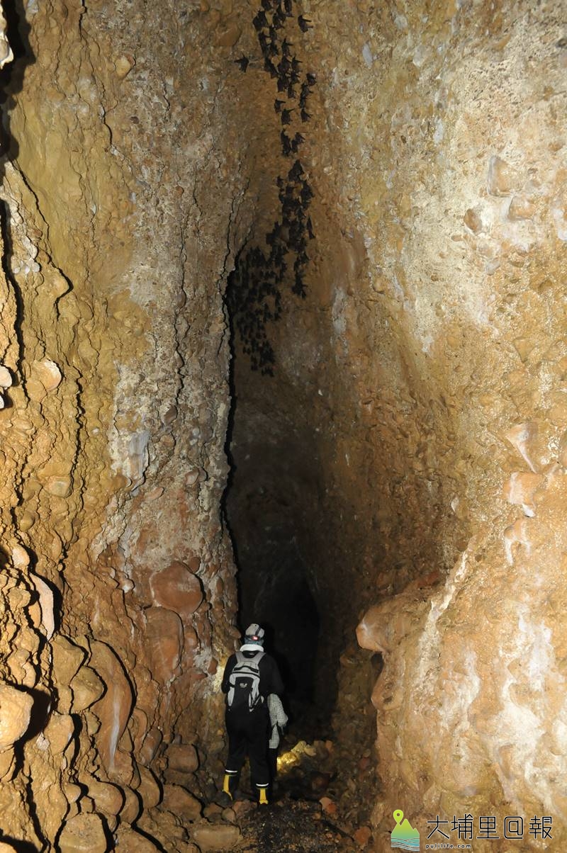 神秘洞寬度僅容1人入內，但洞穴高達3層樓，上頭還有數以百計的蝙蝠棲息。（柏原祥　攝）